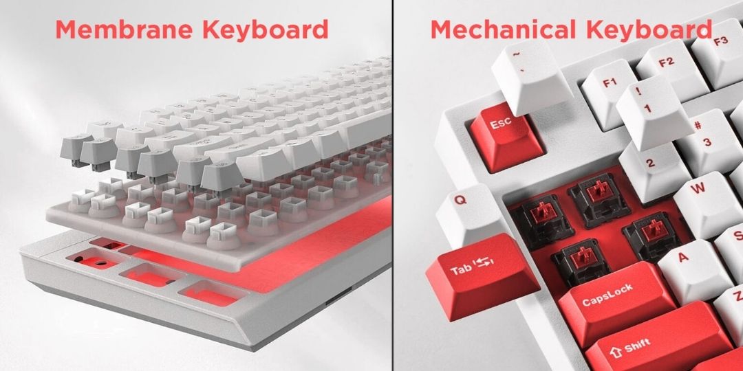 Perbedaan Keyboard Membran dan Mechanical