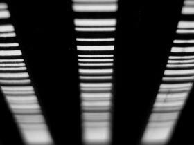 Rekomendasi Barcode Scanner
