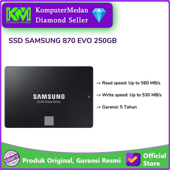 Samsung 870 EVO 250GB: Salah Satu Merk SSD SATA Terbaik untuk PC dan Laptop
