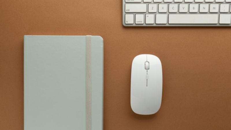 jenis mouse komputer